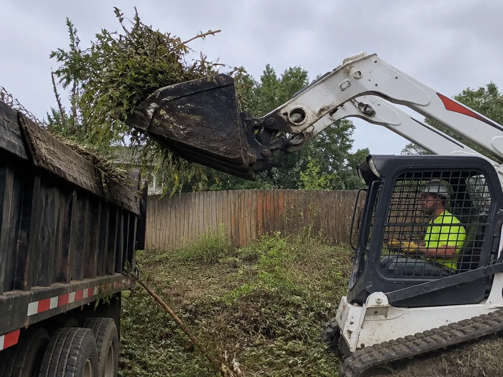 Land Clearing